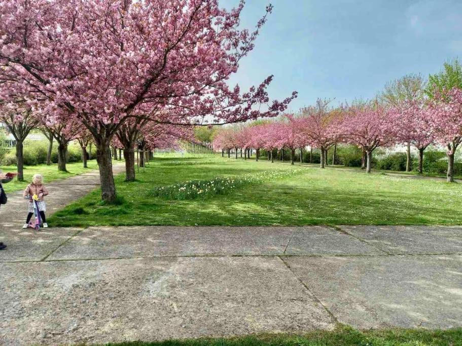 Le Domaine Reserve , Parking Et Ecrin De Verdure Amiens Luaran gambar