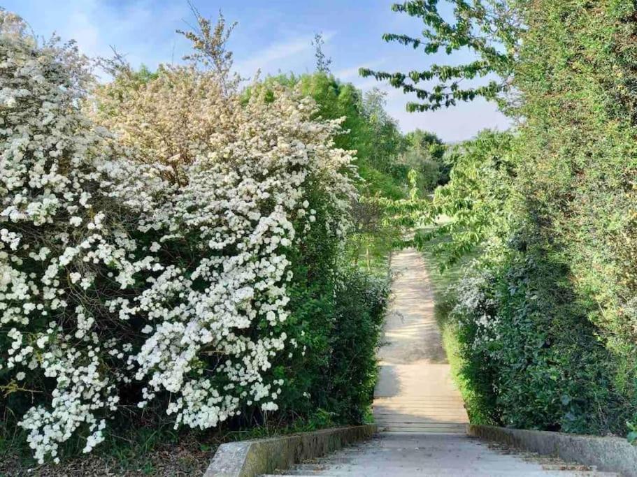 Le Domaine Reserve , Parking Et Ecrin De Verdure Amiens Luaran gambar
